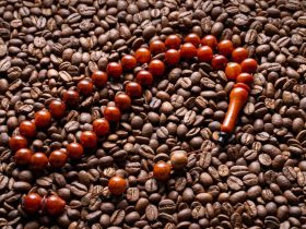 collier en graines de café